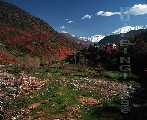 00551-2 (Atlas Mountains, Morocco)