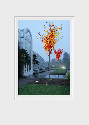 Chihuly at Kew I