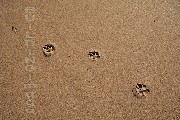 i-006364 (Watergate Bay, Cornwall)