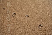 i-006364 (Watergate Bay, Cornwall)