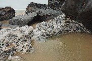 i-006887 (Rocks, Bedruthan Steps, Cornwall)