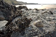 i-007033 (Watergate Bay, Cornwall)