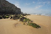 i-007170 (Beach, Watergate Bay, Cornwall)