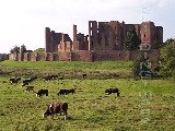 i-100-1579 (Kenilworth castle)