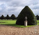 i-100-2378 (Hampton Court gardens)